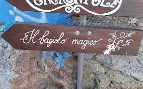 Il fagiolo magico